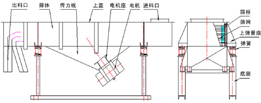 直線振動篩內(nèi)部結構：出料口，篩體，傳力板，上蓋，電機座，電機，進料口，篩框，篩網(wǎng)，上彈簧座，彈簧，底腿。